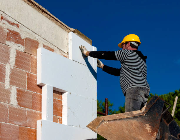 Best Commercial Insulation in Mineral Springs, AR