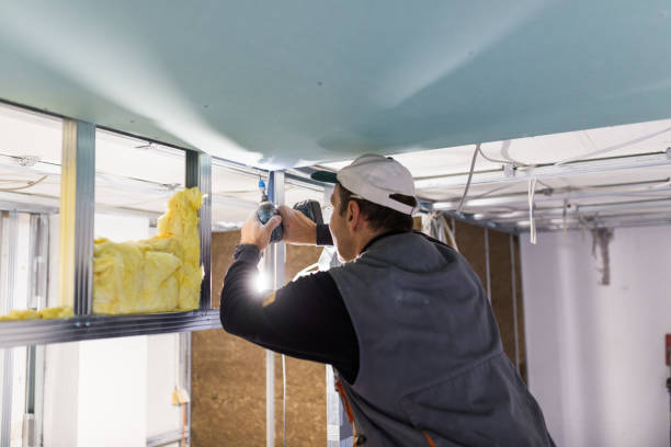 Best Spray Foam Insulation in Mineral Springs, AR