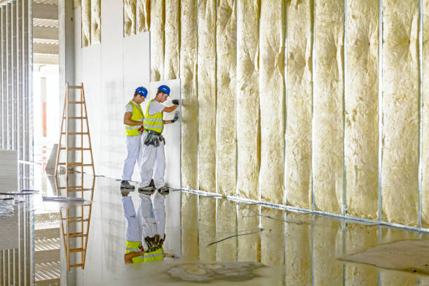 Best Cellulose Insulation in Mineral Springs, AR